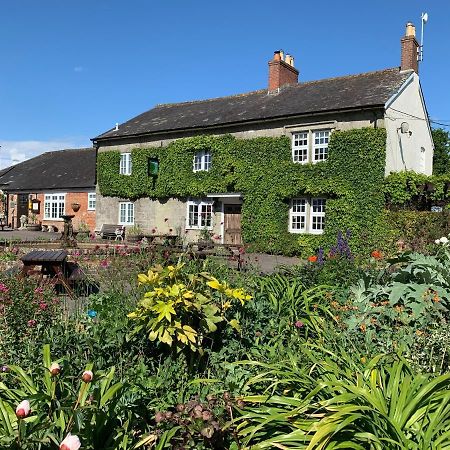 The Coppleridge Inn Motcombe المظهر الخارجي الصورة